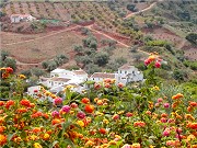 Huerta de Ranea, Andalucia Self catering rural accommodation, Spain