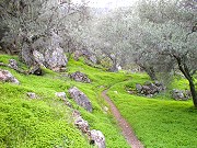 Walking trail in Andalucian landscape Spanish holiday activities near Comares